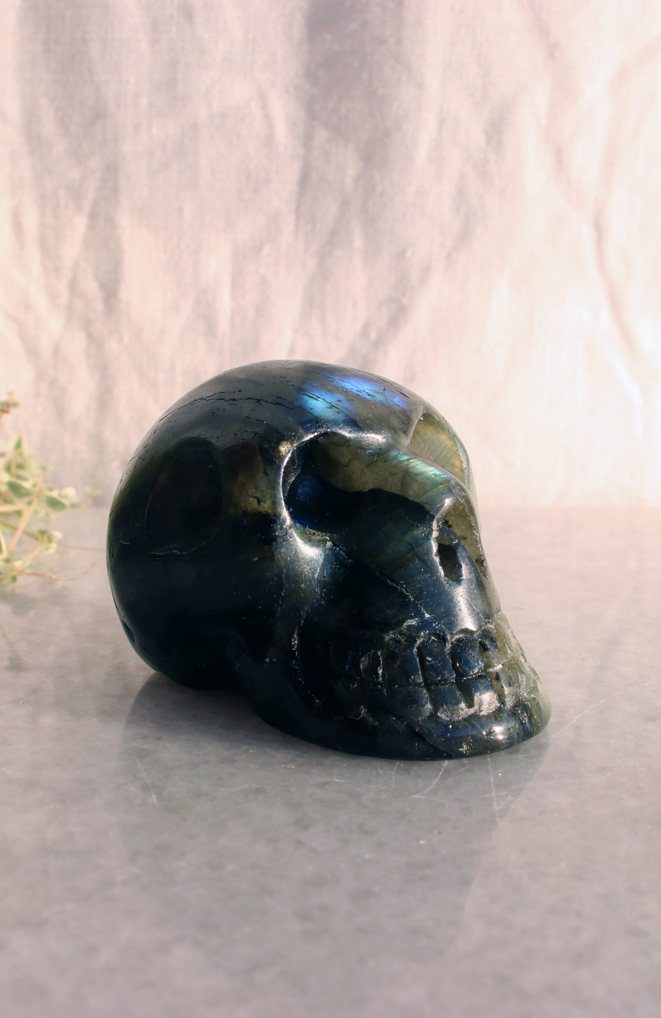Labradorite Skull